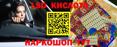 mdpv Заводоуковск