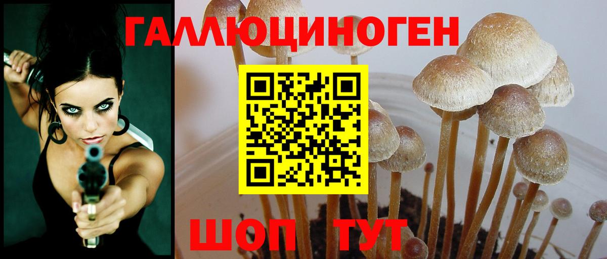 Кулебаки  Галлюциногенные грибы ЛСД  Галлюциногенные грибы Cubensis  Вход с VPN 